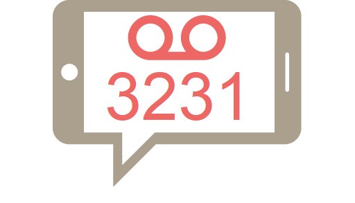 telephone 3231